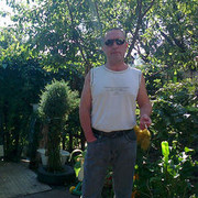   ,   , 62 ,   