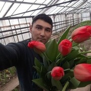  ,  Alisher, 37