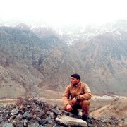  ,   Samandar, 31 ,   ,   , 