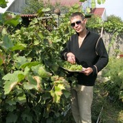  ,  aleks, 49