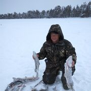 ���������� ������, ���� ������� ���������, 63 ����, ������������ ��� ������, ����� � ���������, c�������� ���������