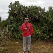 ���������� ����������, ���� ������� ���������, 62 ����, ������������ ��� ������, ����� � ���������, c�������� ���������