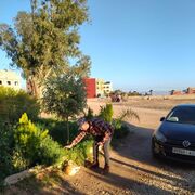  ,   Abdo, 44 ,   ,   , c 