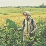 ���������� ������, ���� ������� �������, 28 ���, ������������ ��� ������, ����� � ���������, c�������� ���������, ���������