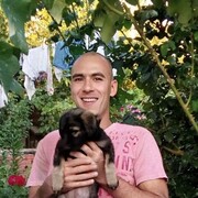 ���������� ��������, ���� ������� ����, 44 ����, ������������ ��� ������, ����� � ���������, c�������� ���������