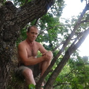  ,   , 56 ,   