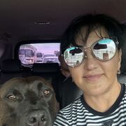 ���������� �����������, ���� ������� �����, 53 ����, ������������ ��� ����� � ���������, c�������� ���������