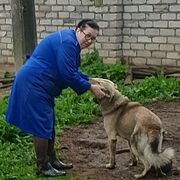 ���������� ������ �������, ���� ������� ������, 72 ����, ������������ ��� ���������