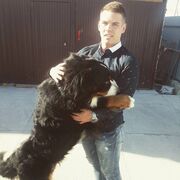 ���������� �����-���������, ���� ������� �����, 34 ����, ������������ ��� ������, ����� � ���������