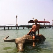 ���������� �������, ���� ������� �����, 43 ����, ������������ ��� ������, ����� � ���������, c�������� ���������