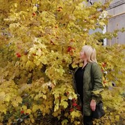 ���������� ���������, ���� ������� �����, 54 ����, ������������ ��� ������, ����� � ���������, c�������� ���������