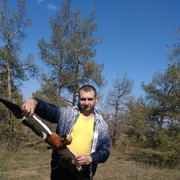 ���������� ���������, ���� ������� �����, 44 ����, ������������ ��� ������, ����� � ���������, c�������� ���������