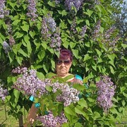  ,   , 67 ,   ,   