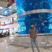 ���������� ������, ���� ������� ������, 28 ���, ������������ ��� ������, ����� � ���������, c�������� ���������, ���������