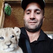 ���������� ������, ���� ������� Coni, 41 ���, ������������ ��� ������, ����� � ���������