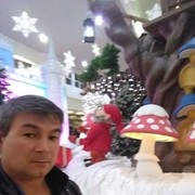  --,   , 51 ,   ,   , c 