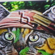 ���������� �������, ���� ������� ���, 55 ���, ������������ ��� ������, ����� � ���������, c�������� ���������