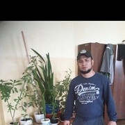  ,   Alli, 36 ,   ,   , c , 