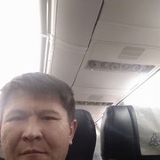 ���������� ������, ���� ������� Dany, 50 ���, ������������ ��� ������, ����� � ���������, c�������� ���������