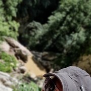  ,   , 49 ,   ,   , c 