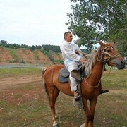 ���������� �������, ���� ������� �����, 38 ���, ������������ ��� ������, ����� � ���������, c�������� ���������