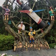 ���������� �����������, ���� ������� ������, 65 ���, ������������ ��� c�������� ���������