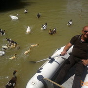  ,   ROMAN, 49 ,   ,   , c , 