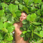 ���������� �����, ���� ������� ����, 41 ���, ������������ ��� ������, ����� � ���������, c�������� ���������