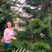 ���������� ���������, ���� ������� ������, 53 ����, ������������ ��� ����� � ���������, c�������� ���������, ���������