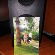  ,   , 56 ,     , c 