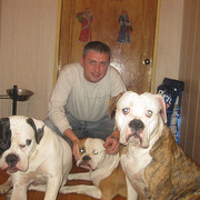 ���������� ������, ���� ������� ������, 50 ���, ������������ ��� ������, ����� � ���������, c�������� ���������