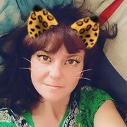  ,   , 41 ,  