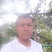  -,   , 37 ,  