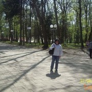 ,   , 43 ,  