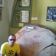 ���������� ���, ������� ����, 38