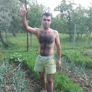 ���������� ����, ���� ������� ����� �����, 40 ���, ������������ ��� ������, ����� � ���������, c�������� ���������