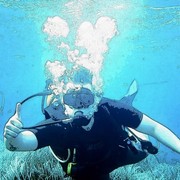 ���������� �����, ���� ������� ������, 33 ����, ������������ ��� ������, ����� � ���������, c�������� ���������