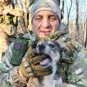 ���������� ���������, ���� ������� ������, 51 ���, ������������ ��� ������, ����� � ���������