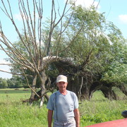 ���������� ��������, ���� ������� ����, 71 ���, ������������ ��� ������