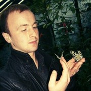 ���������� ������, ���� ������� ����, 33 ����, ������������ ��� ������, ����� � ���������, c�������� ���������