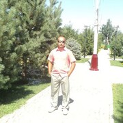 Novy,   , 46 ,   ,   