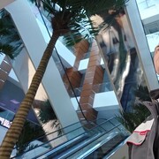  ,   Nikita, 31 ,   , 