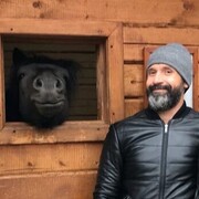 ���������� �����, ���� ������� ���������, 40 ���, ������������ ��� ������, ����� � ���������