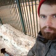 ���������� ������, ���� ������� �������, 35 ���, ������������ ��� ������, ����� � ���������, c�������� ���������, ���������