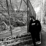 ���������� �����������, ���� ������� Farukh, 34 ����, ������������ ��� ������, ����� � ���������, c�������� ���������, ���������