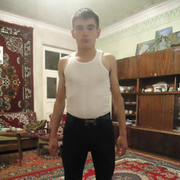 ���������� ������, ���� ������� HOVO, 31 ���, ������������ ��� ������