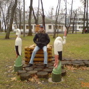 ���������� �����, ���� ������� Art74, 51 ���, ������������ ��� ������