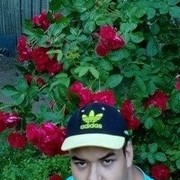  ,  , 31