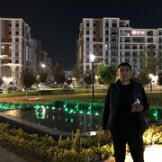 ���������� �����-���������, ���� ������� ������, 46 ���, ������������ ��� ������, ����� � ���������