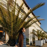 ���������� ����, ���� ������� �������, 36 ���, ������������ ��� ������, ����� � ���������, ���������